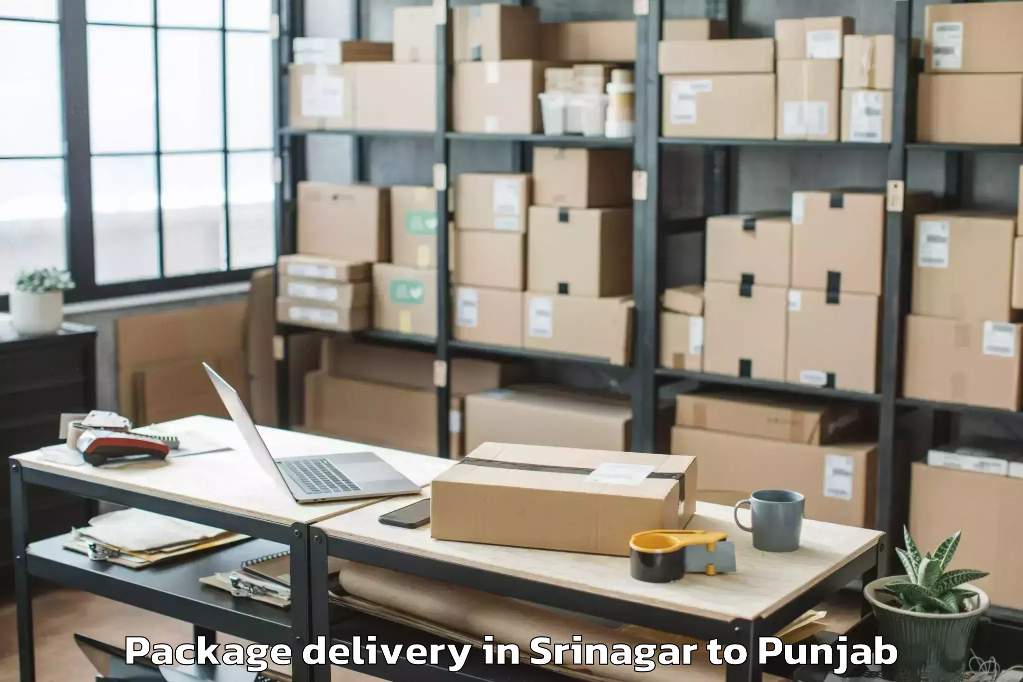 Easy Srinagar to Samrala Package Delivery Booking